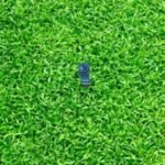 MOTO EDGE PLUS ORIGINAL FRONT CAMERA